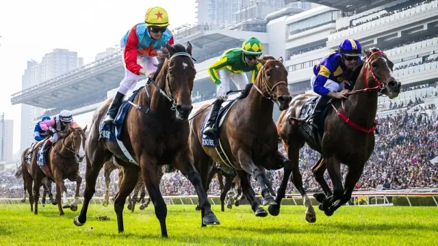 十三么娛樂城 香港人最常下注的5大體育項目